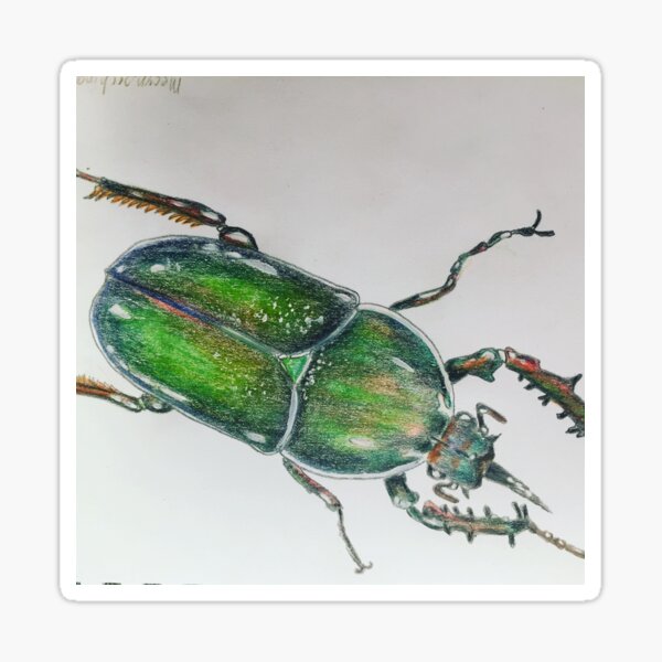 Beetle Sticker