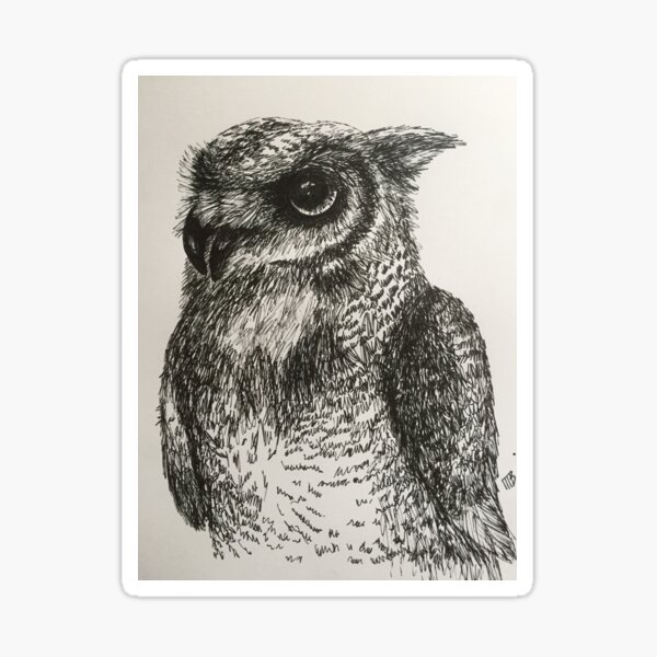 Owl Sticker