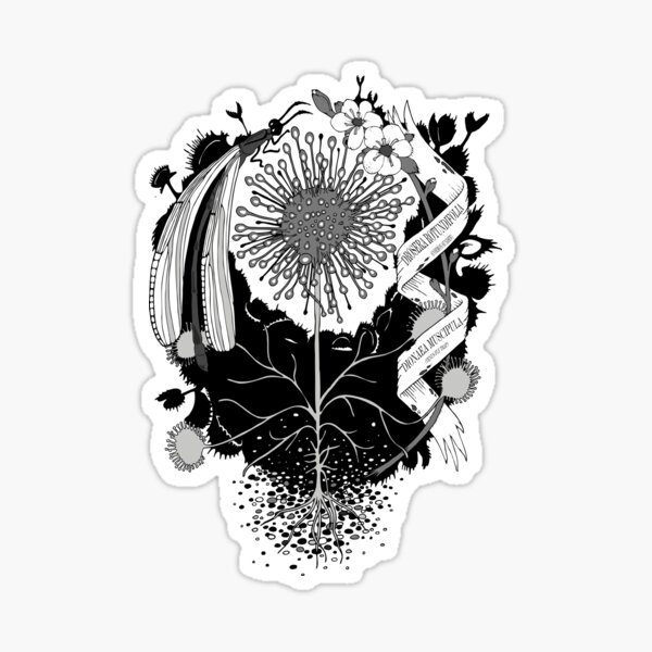 Artikel-Vorschau von Gemeinsame Sonnentau und Venus Fly Trap, designt und verkauft von FlippingZombies.