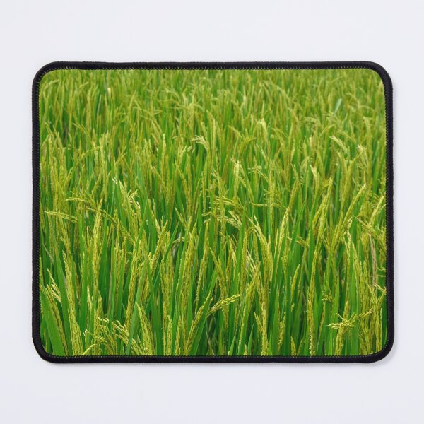 Item preview, Paddy Field designed and sold by Tim Paulawitz.