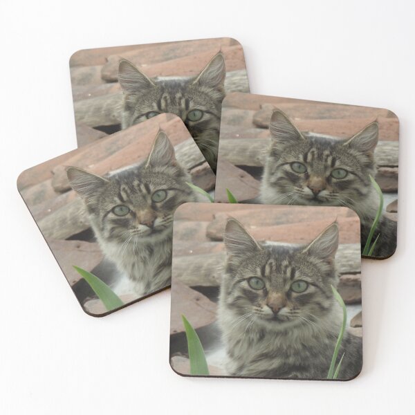 Item preview, Cool Kitty designed and sold by ProhibitionStickers.