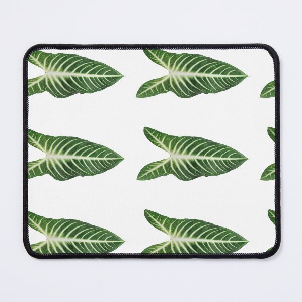 Item preview, Alocasia sticker designed and sold by Lauviahsdesign.