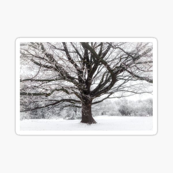A winter fairy tale Sticker