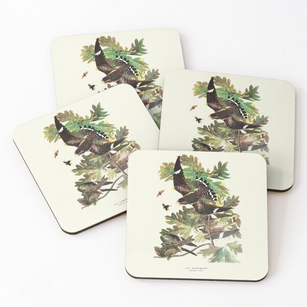 Item preview, Nighthawk - Audubon designed and sold by sanerevolution.