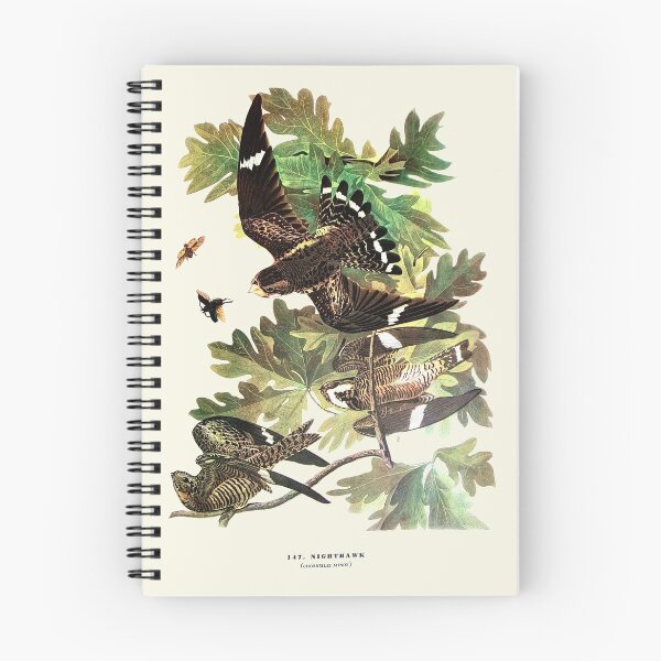 Item preview, Nighthawk - Audubon designed and sold by sanerevolution.