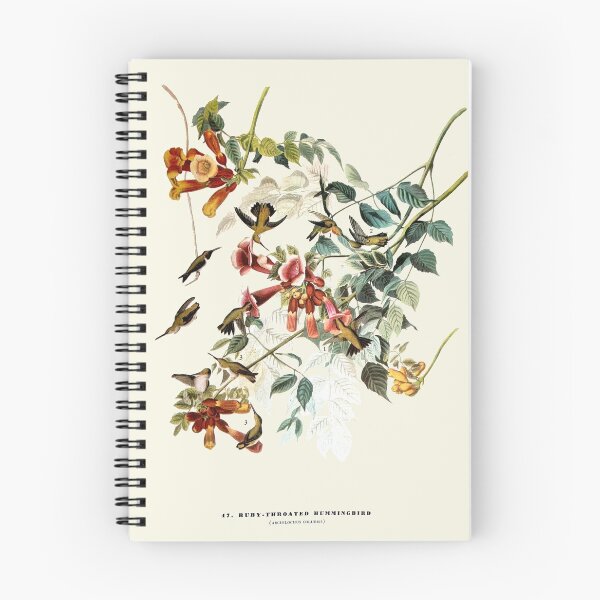 Item preview, Ruby-throated hummingbird - Audubon designed and sold by sanerevolution.