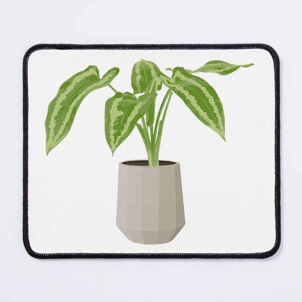 Item preview, Alocasia sticker designed and sold by Lauviahsdesign.