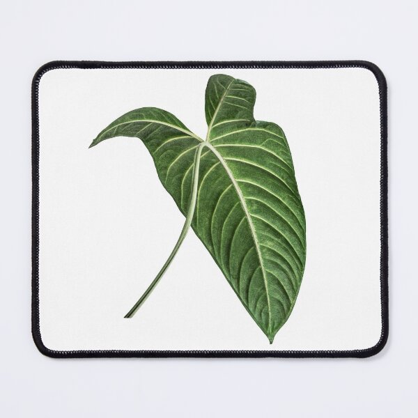 Item preview, Alocasia sticker designed and sold by Lauviahsdesign.