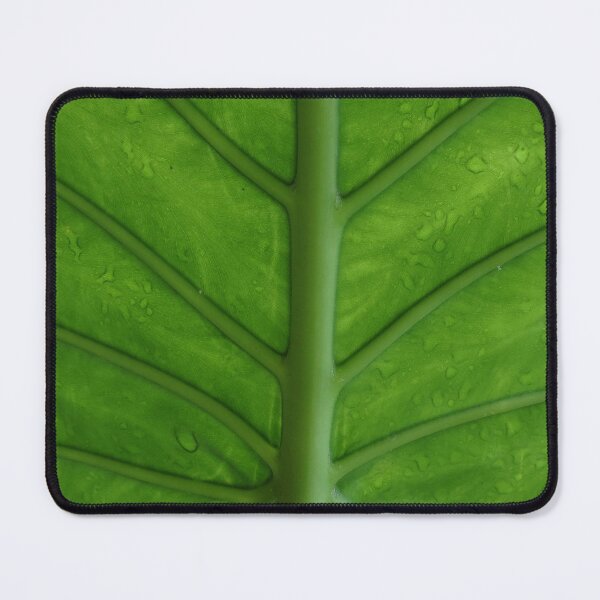 Item preview, Alocasia  designed and sold by Lauviahsdesign.