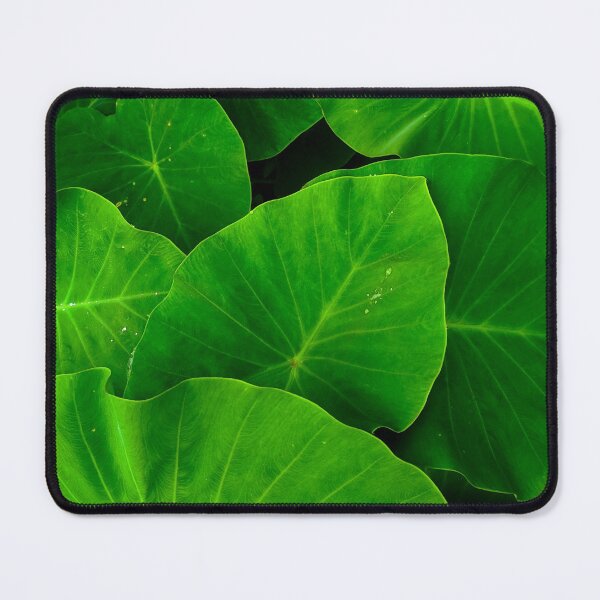 Item preview, Alocasia designed and sold by Lauviahsdesign.