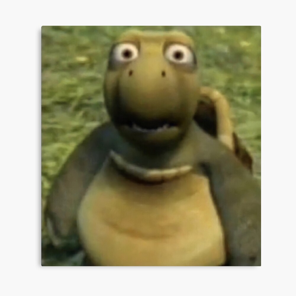 Turtle off of over the hedge