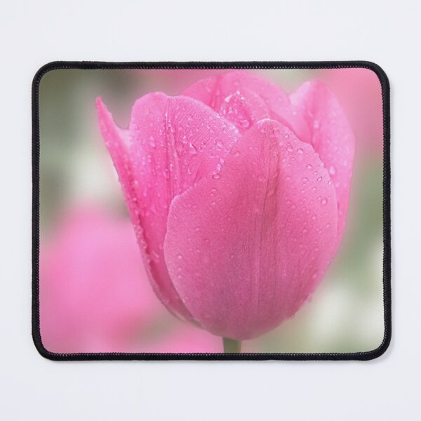 Item preview, Pink Tulip designed and sold by AnitaLynne.