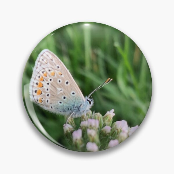 Item preview, Blue and gray butterfly designed and sold by AquosaLuna.