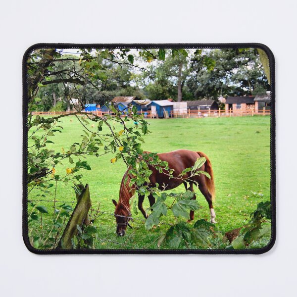Item preview, RESTING designed and sold by ronsaunders47.