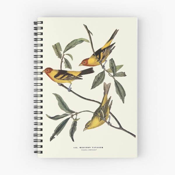 Item preview, Western Tanager - Audubon designed and sold by sanerevolution.