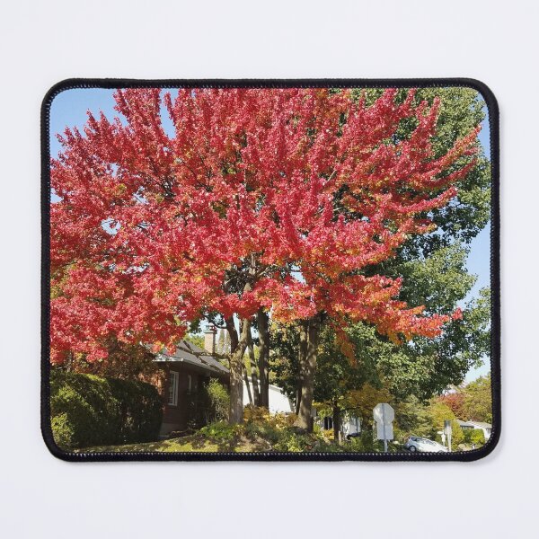 Item preview, Canadian Autumn Leaves designed and sold by PandaTShirtShop.