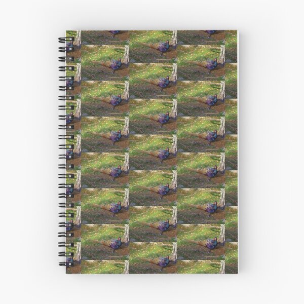 Item preview, The Colourful Pheasant designed and sold by William Lighterness.