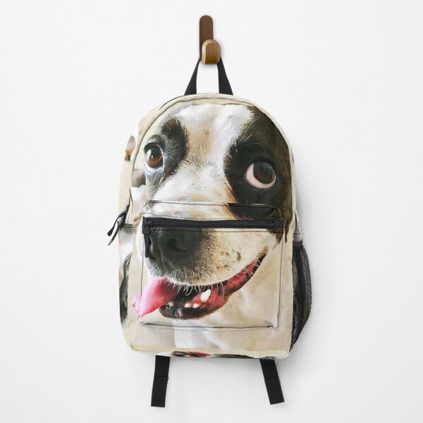 Item preview, How Cute Am I? Boston Terrier Rescue designed and sold by Happykale.