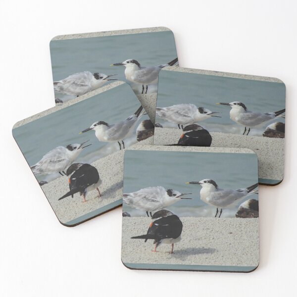 Item preview, Begging for Food designed and sold by Rhovanel.