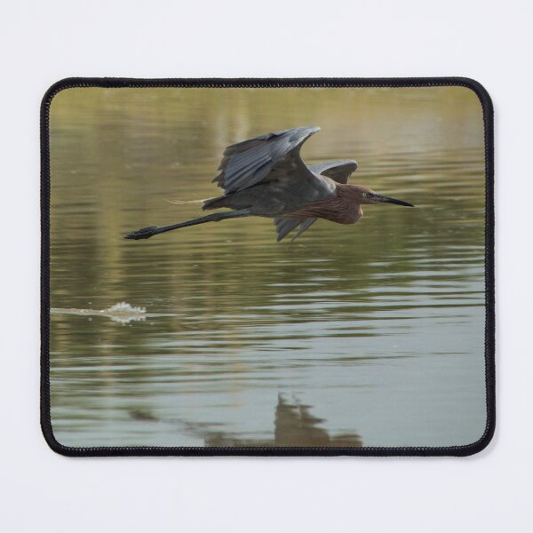 Item preview, Reddish Egret designed and sold by Rhovanel.
