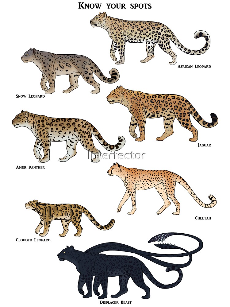 Big Cats Of The World Poster | ubicaciondepersonas.cdmx.gob.mx