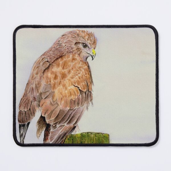Item preview, Irish Buzzard designed and sold by CathiePuaArt.