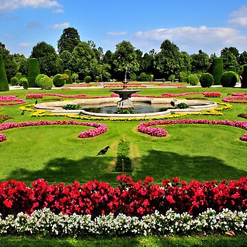 Artwork thumbnail, Garden at Schonbrunn Palace2 by MaluC