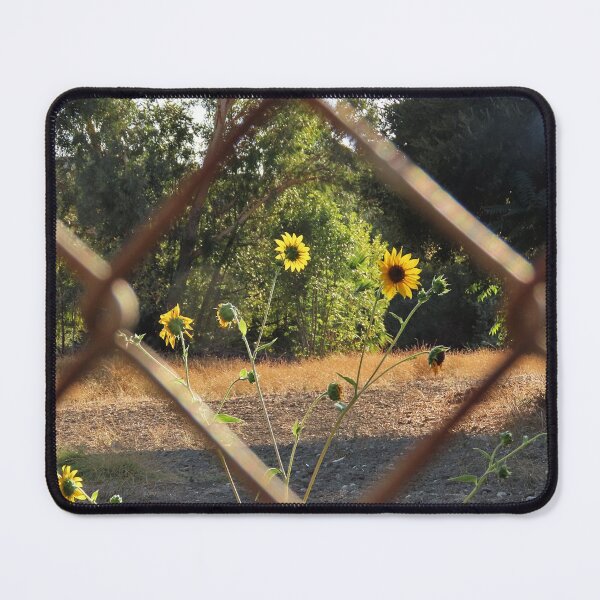 Item preview, Fenced in Nature designed and sold by Donnellywood.