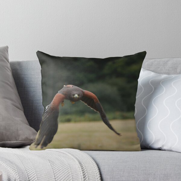 Item preview, A Harris hawk taking flight designed and sold by miradorpictures.