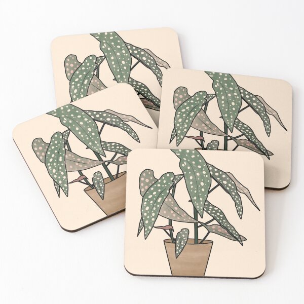 Item preview, Angel Wing Polka Dot Begonia Houseplant designed and sold by makesbymiss.
