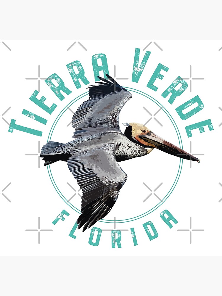 Tierra Verde Florida Poster for Sale by Futurebeachbum