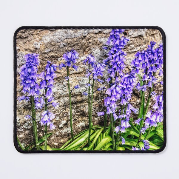 Item preview, Spanish Bluebells designed and sold by tomg.