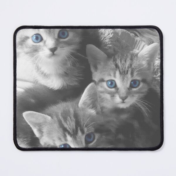 Item preview, 3 kittens with blue eyes designed and sold by un-artiges.