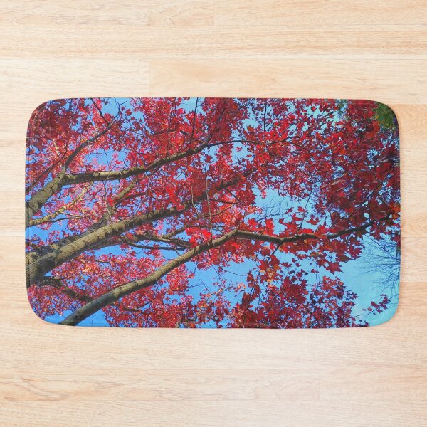 Item preview, Fall arrives I | Stirling | Adelaide Hills | South Australia designed and sold by iwaya-bazaar.