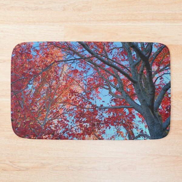 Item preview, Fall arrives II | Stirling | Adelaide Hills | South Australia designed and sold by iwaya-bazaar.