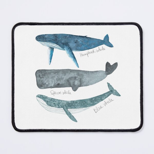 Item preview, A Collection of Whales II designed and sold by kslittleworld.