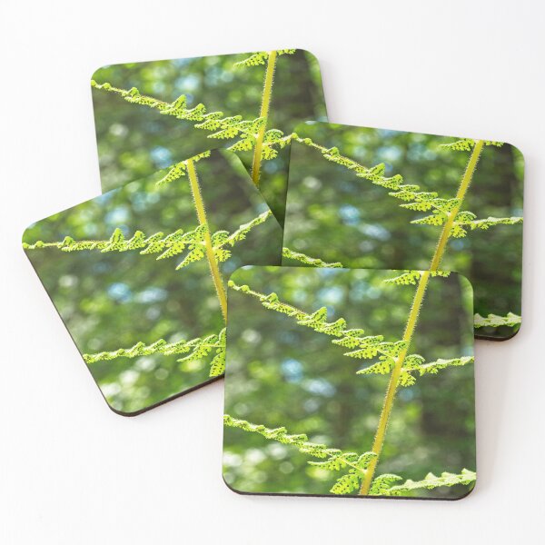 Item preview, Fern Fronds designed and sold by StevenRalserPhoto.