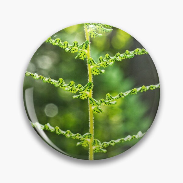 Item preview, Fern Fronds 2 designed and sold by StevenRalserPhoto.