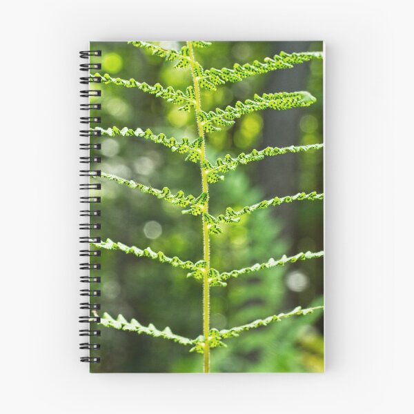 Item preview, Fern Fronds 2 designed and sold by StevenRalserPhoto.