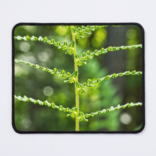 Item preview, Fern Fronds 2 designed and sold by StevenRalserPhoto.