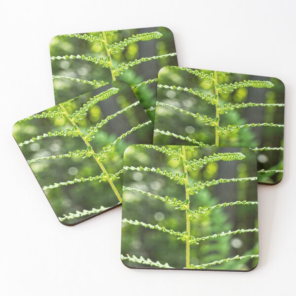 Item preview, Fern Fronds 2 designed and sold by StevenRalserPhoto.