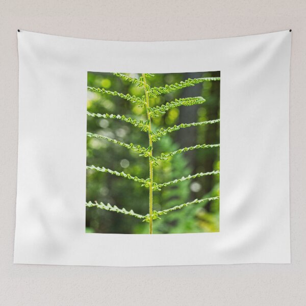 Item preview, Fern Fronds 2 designed and sold by StevenRalserPhoto.