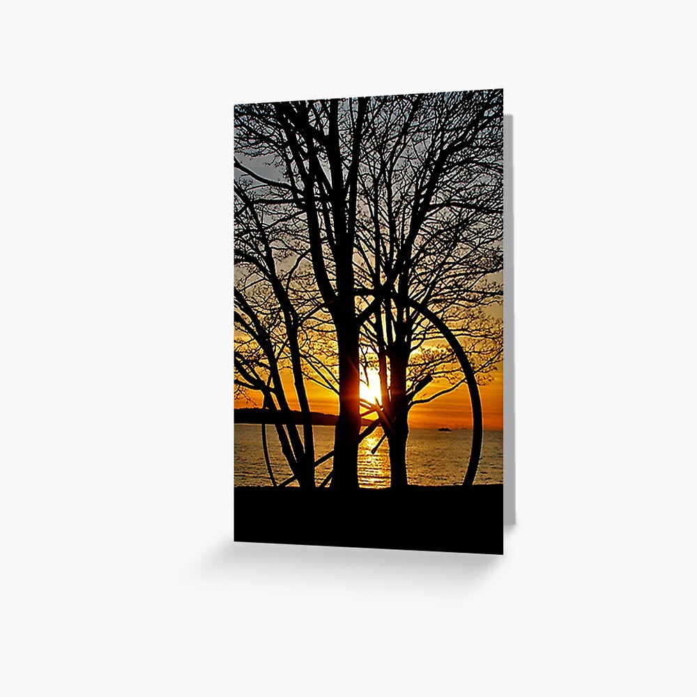 Sunset Through Art Greeting Card