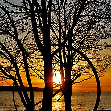 Artwork thumbnail, Sunset Through Art by MaluC