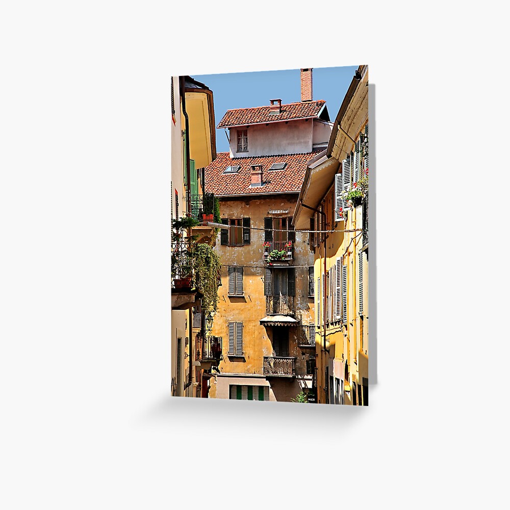 Item preview, Greeting Card designed and sold by MaluC.