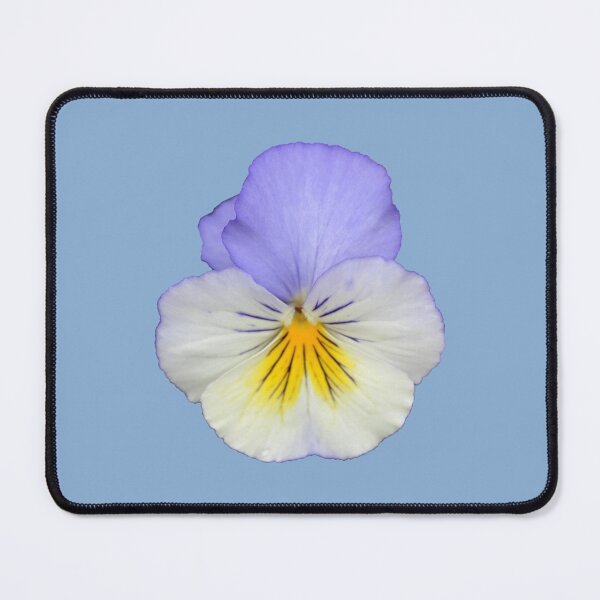 Item preview, Lavender and Yellow Pansy on Light Blue designed and sold by STHogan.