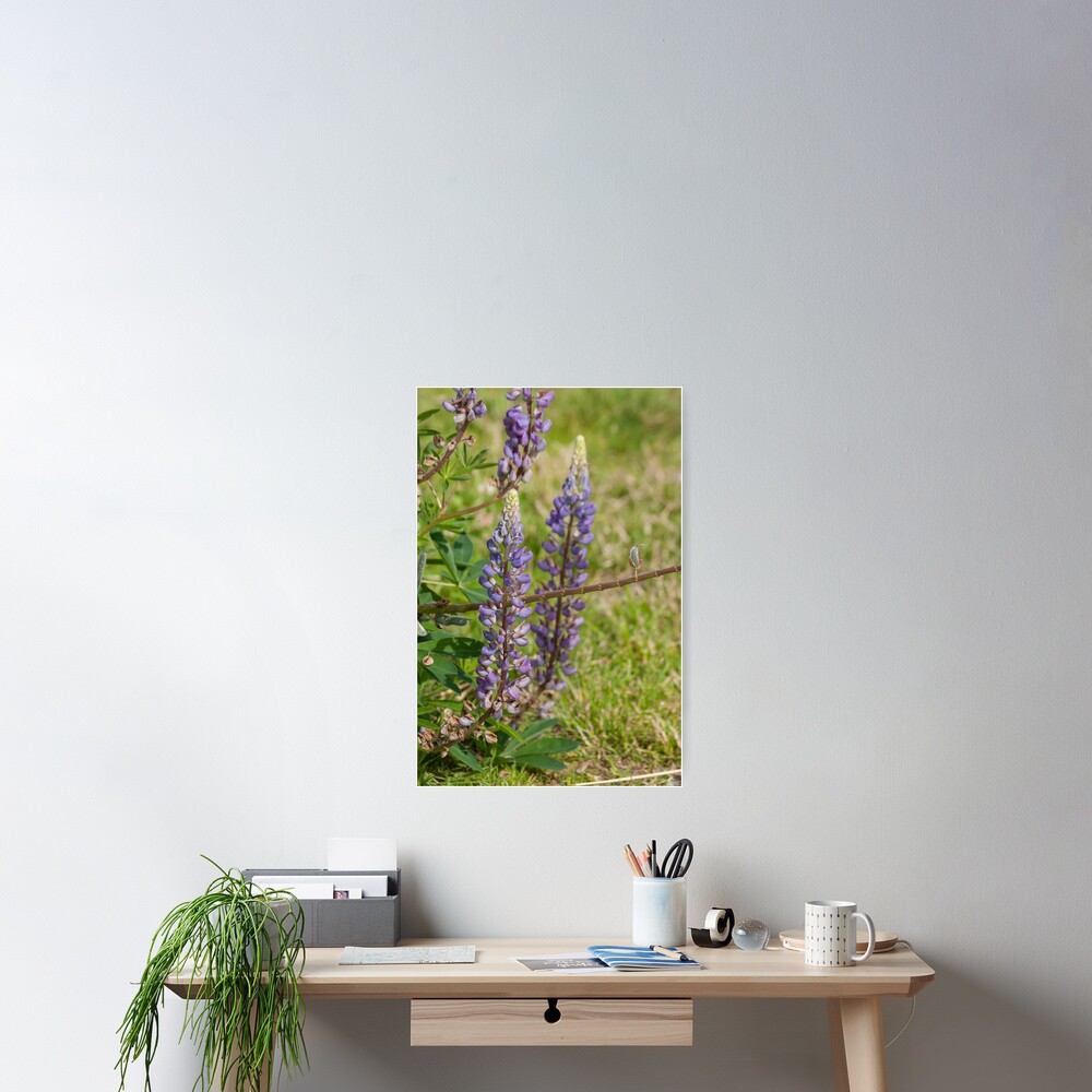 Item preview, Poster designed and sold by MaluC.