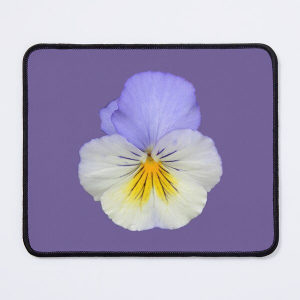 Item preview, Lavender and Yellow Pansy designed and sold by STHogan.