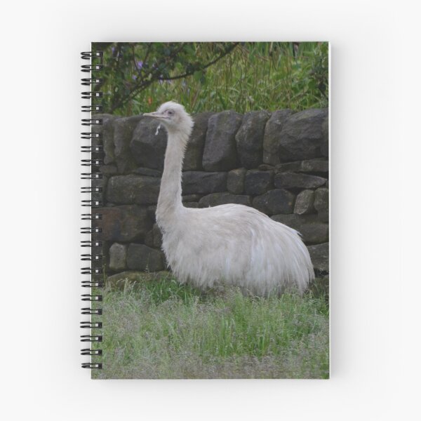 Item preview, Rhea designed and sold by Malcolm Snook.