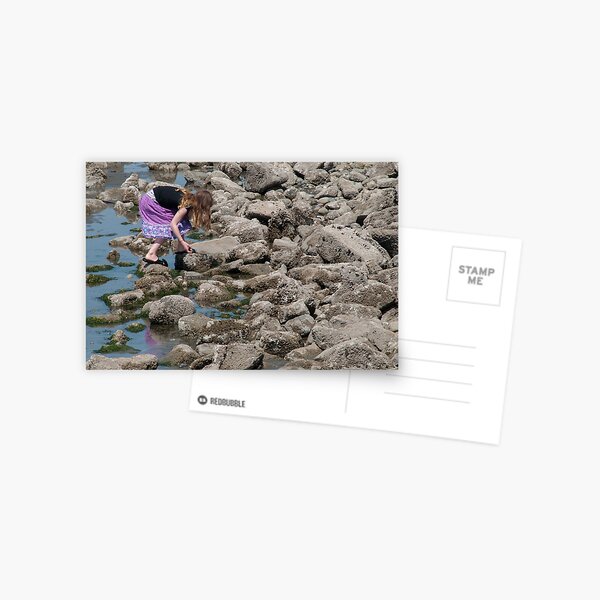 Item preview, Searching designed and sold by MaluC.